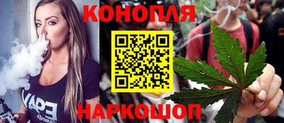 индика Кинель