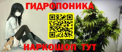 spice Канаш