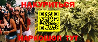 индика Кинель